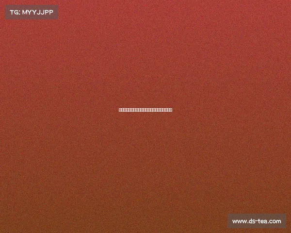 以里尔为核心的欧洲文化交流与创新发展路径探索