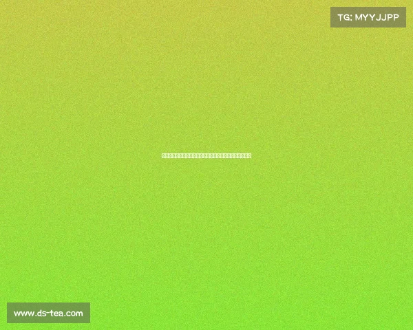 德甲控球率分析：影响比赛结果的关键因素与战术运用探讨