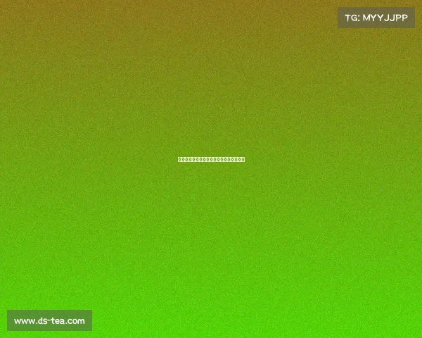 德甲历史零封场次统计及顶尖门将表现分析